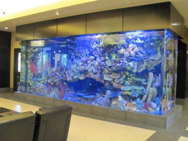 Interior Stinson Building Lobby View